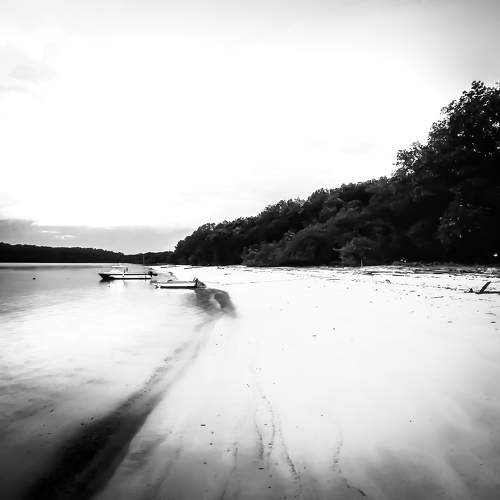 Photo #11572659