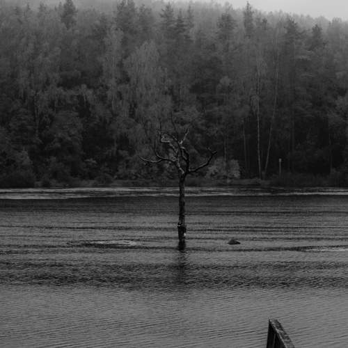 Фотография #11573213