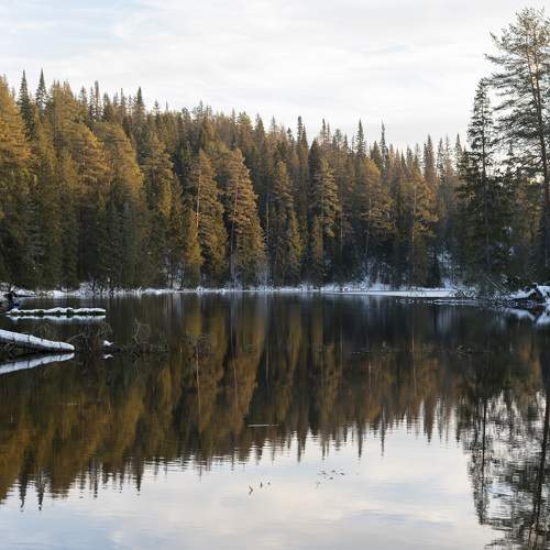 Photo #11573453