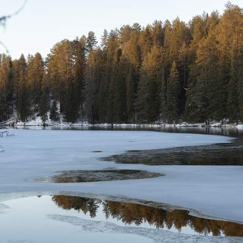 Photo #11573456
