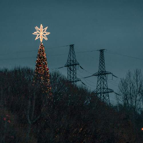 Photo #11573546
