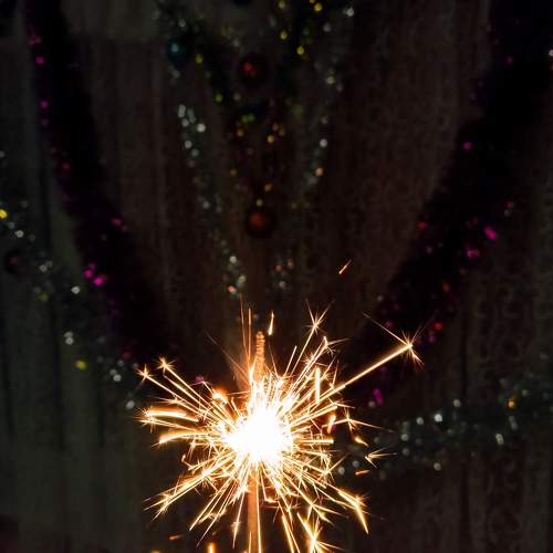 Photo #11573705