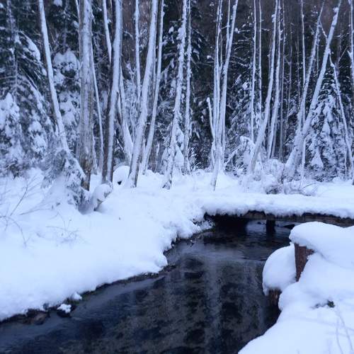 Photo #11573824