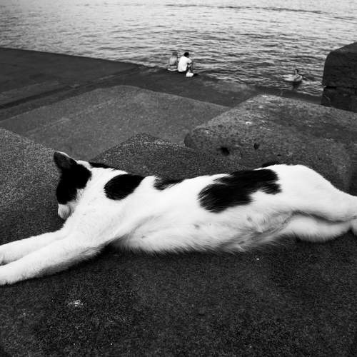 Photo #11573923