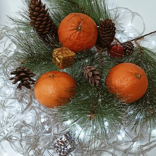 Photo #11573957