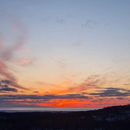 Photo #11574153