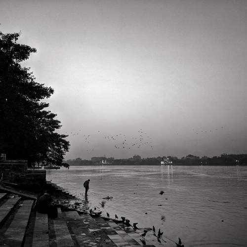 Photo #11574369