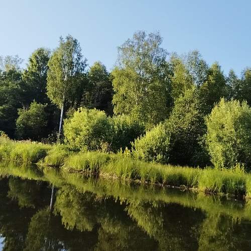 Photo #11574516