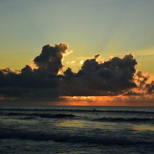 Photo #11574817