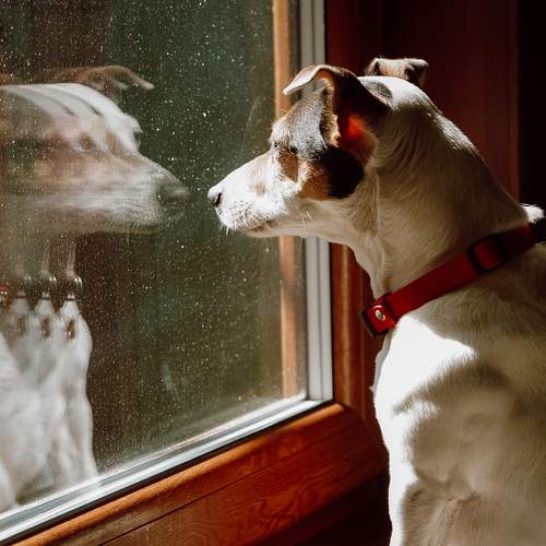 Photo #11574887