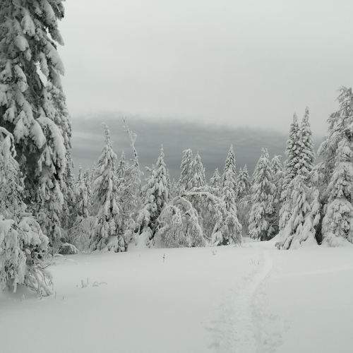 Photo #11574972