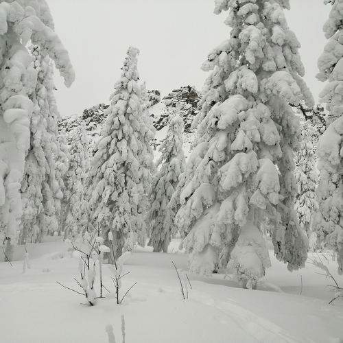 Photo #11574973