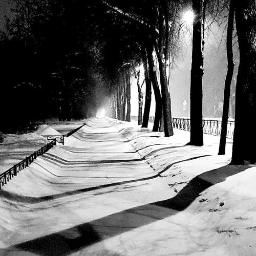 Photo #11575256