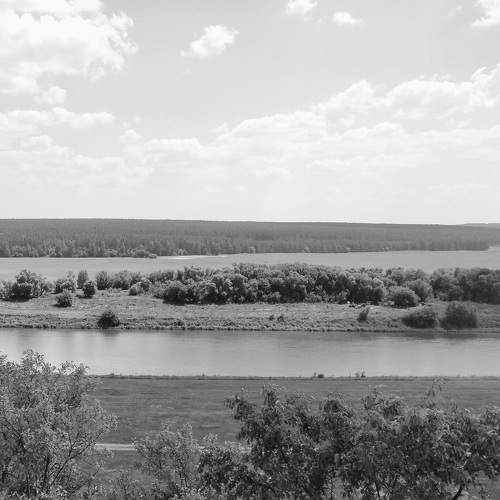 Photo #11575444