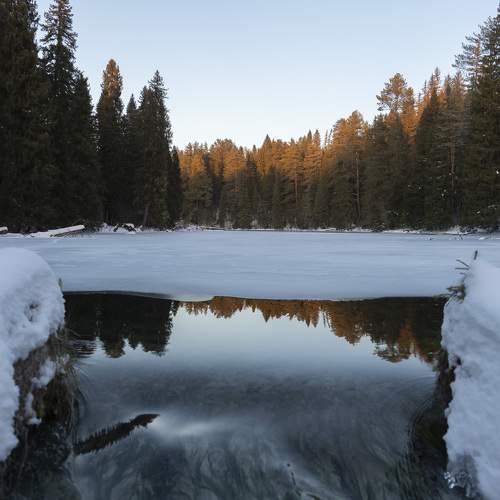 Photo #11575491