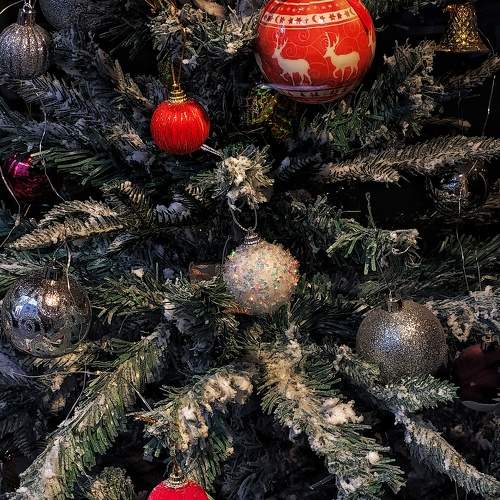 Photo #11575888