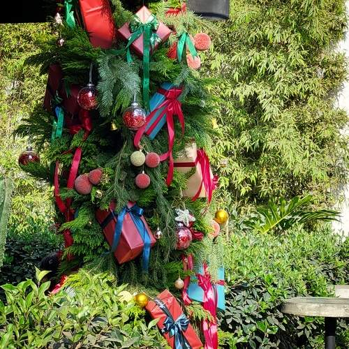 Photo #11575890