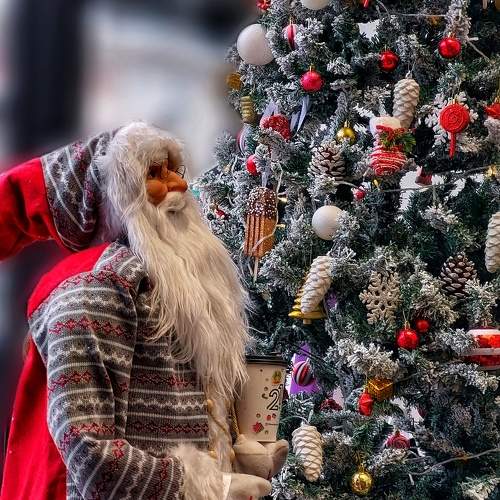 Photo #11575894