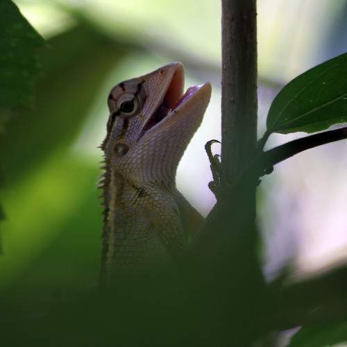 Photo #11575895