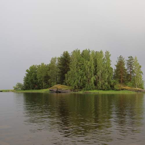 Photo #11576137