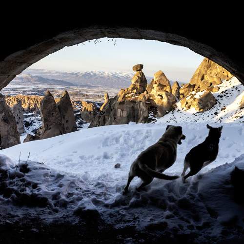 Photo #11576360