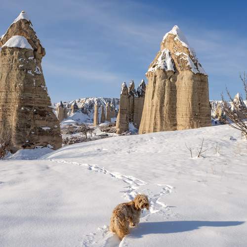 Photo #11576361
