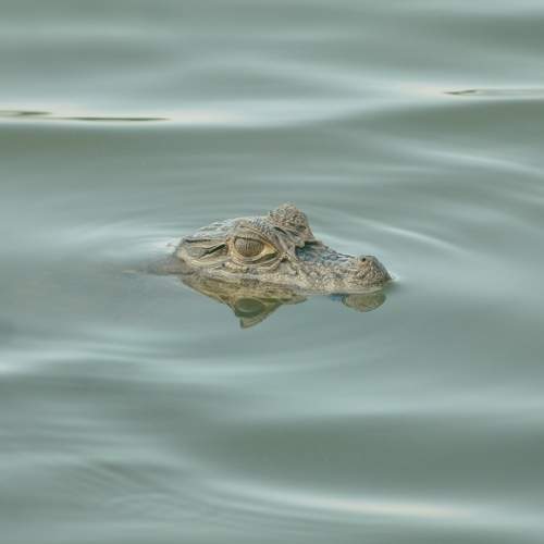 Photo #11576616