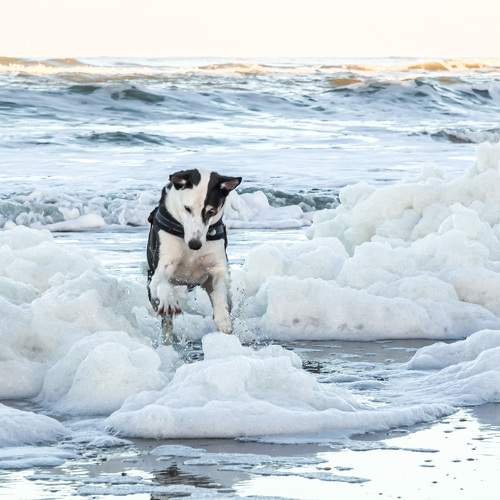 Photo #11576650