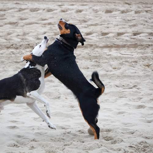 Photo #11576651
