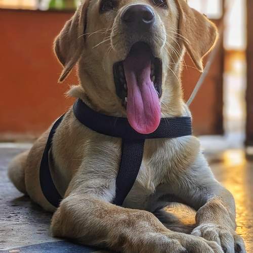 Photo #11576866