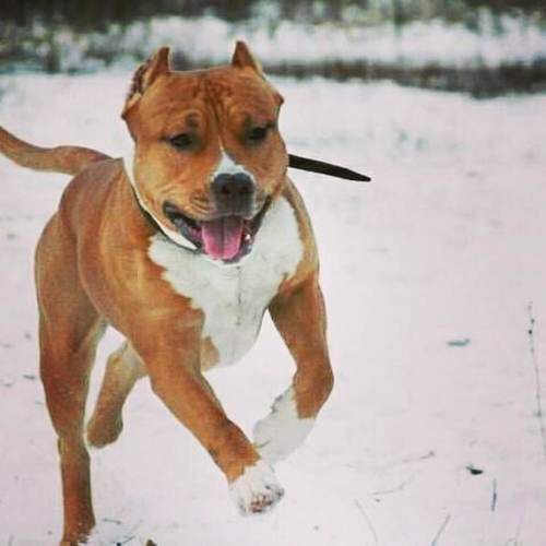 Photo #11576922