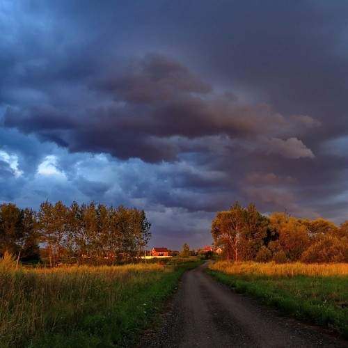 Photo #11577234