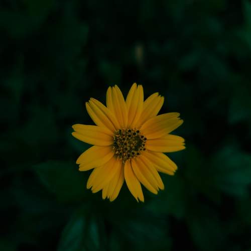 Photo #11577373