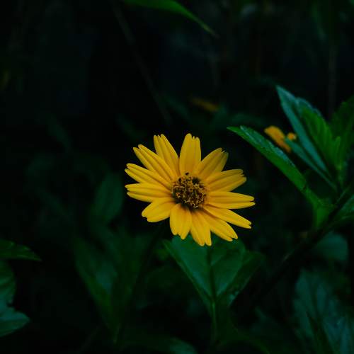 Photo #11577379