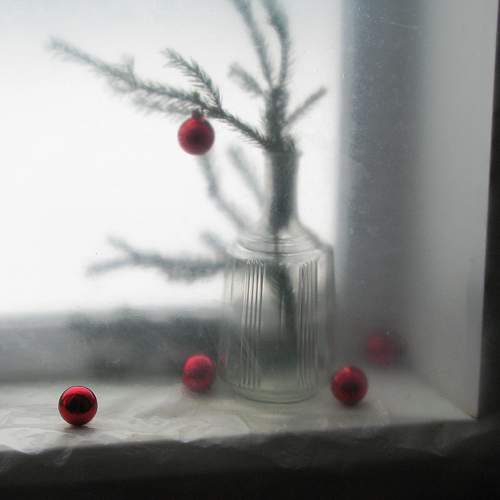 Photo #11577594