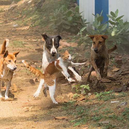 Photo #11577674