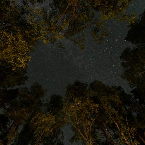 Photo #11577708