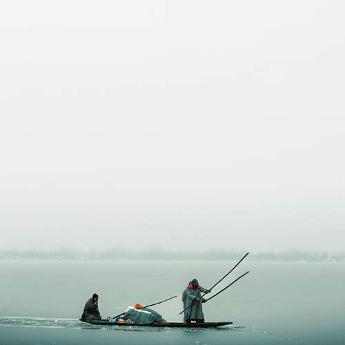 Photo #11577905