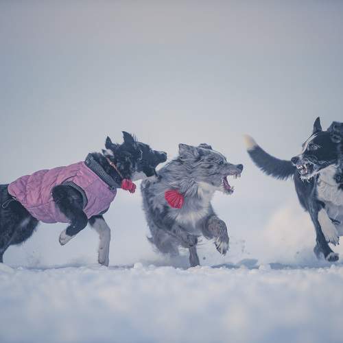 Photo #11578375