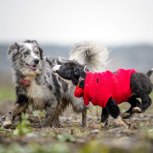 Photo #11578378