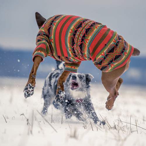 Photo #11578381