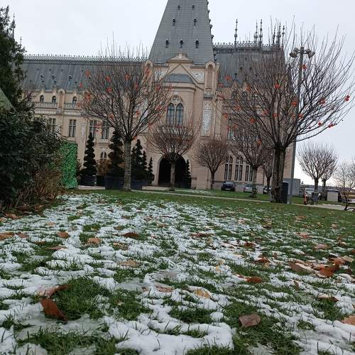Photo #11578535