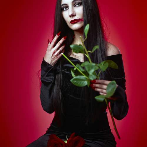 Photo #11578655
