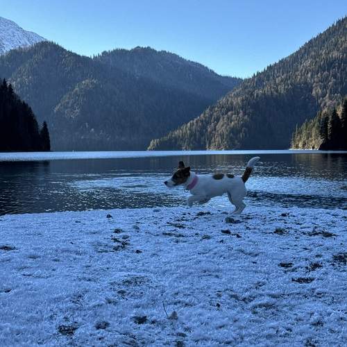 Photo #11579199
