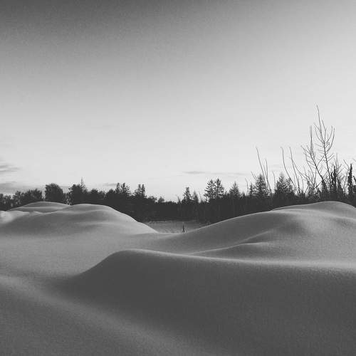 Photo #11579264