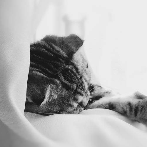 Photo #11579276