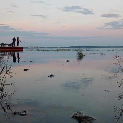 Photo #11579302
