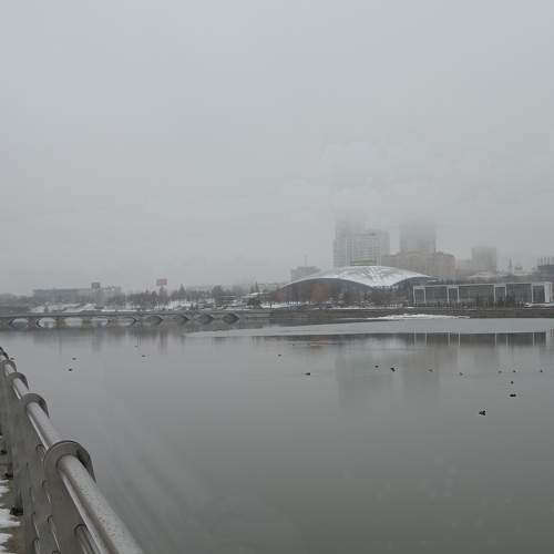 Photo #11579303