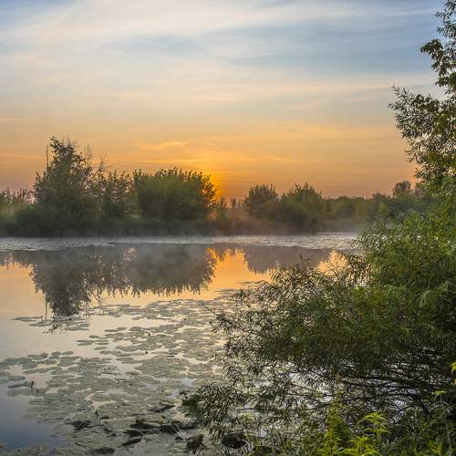 Photo #11579339