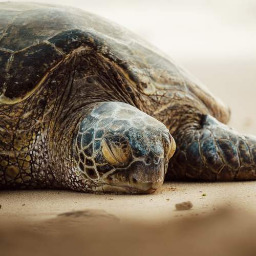 Photo #11579398